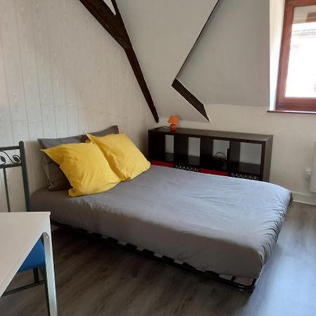 Colmar: Studio Dans Le Centre Historique Ngoại thất bức ảnh